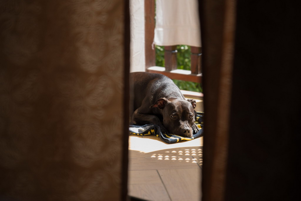  Marta pliva i uživa na moru 